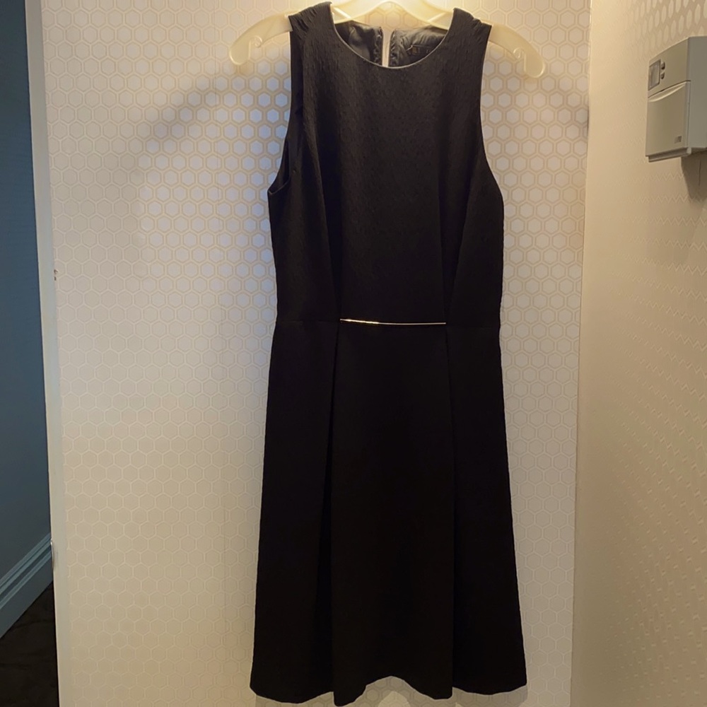 Zara basic black dress with gold hardware